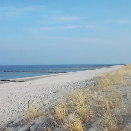 Moewe App 510 Цингст