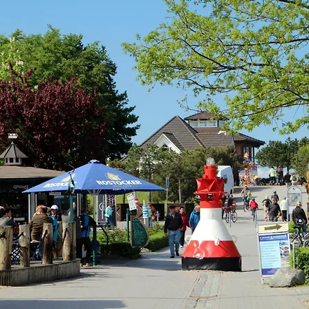 Moewe App 510 Цингст